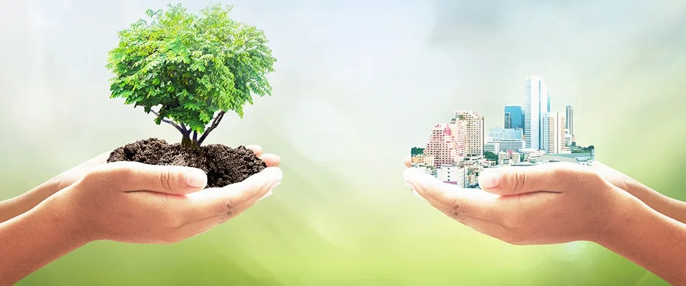 Lime Products For Greener Future