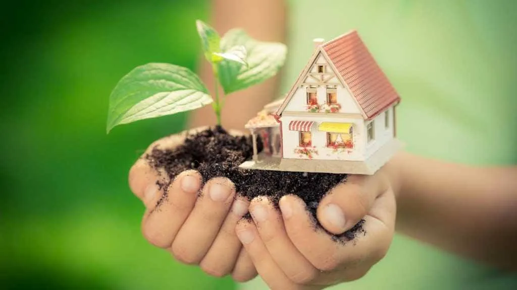 A small house and a green shoot in someones hand, a metaphor for how its possible to build an eco friendly home.